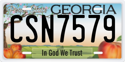 GA license plate CSN7579