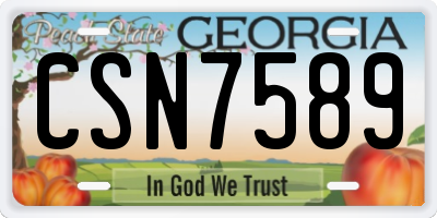 GA license plate CSN7589