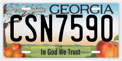 GA license plate CSN7590