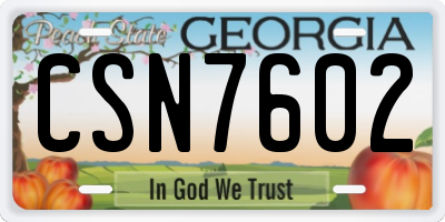 GA license plate CSN7602