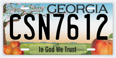 GA license plate CSN7612