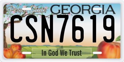 GA license plate CSN7619