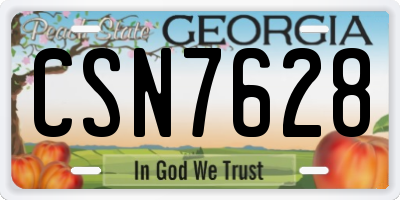 GA license plate CSN7628