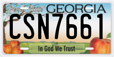 GA license plate CSN7661