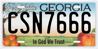 GA license plate CSN7666