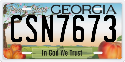 GA license plate CSN7673