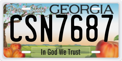 GA license plate CSN7687