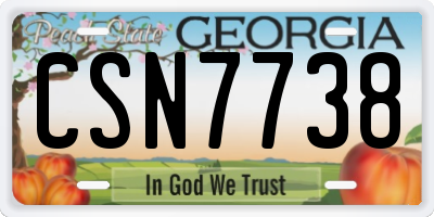 GA license plate CSN7738