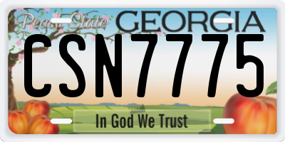 GA license plate CSN7775