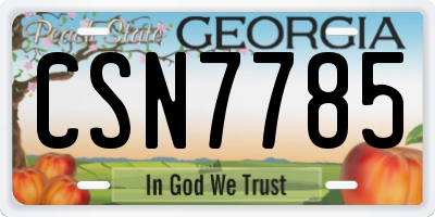 GA license plate CSN7785