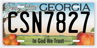 GA license plate CSN7827