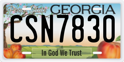 GA license plate CSN7830