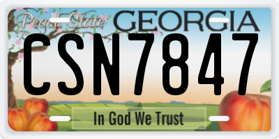 GA license plate CSN7847