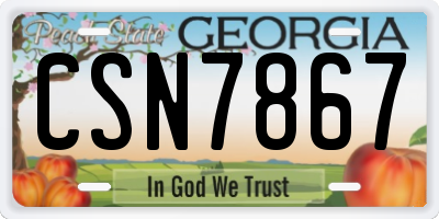 GA license plate CSN7867