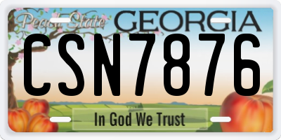 GA license plate CSN7876