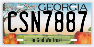 GA license plate CSN7887