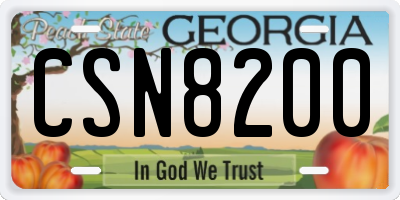 GA license plate CSN8200