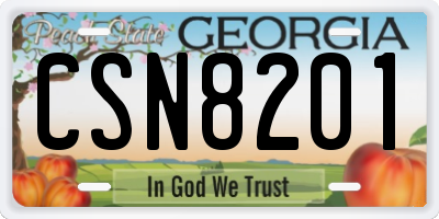 GA license plate CSN8201