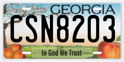 GA license plate CSN8203