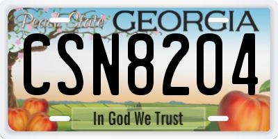 GA license plate CSN8204