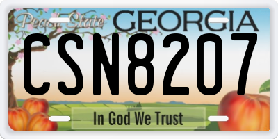 GA license plate CSN8207