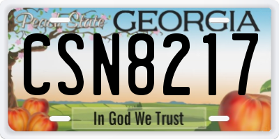 GA license plate CSN8217