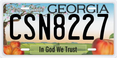 GA license plate CSN8227