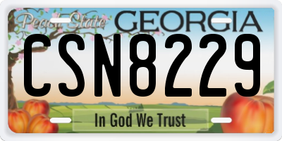 GA license plate CSN8229