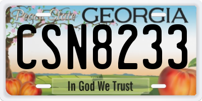 GA license plate CSN8233
