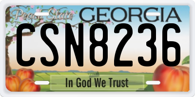 GA license plate CSN8236
