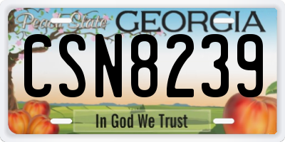 GA license plate CSN8239