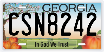 GA license plate CSN8242