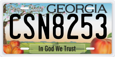 GA license plate CSN8253