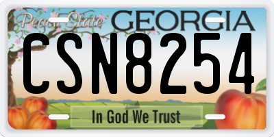 GA license plate CSN8254