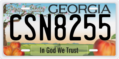 GA license plate CSN8255