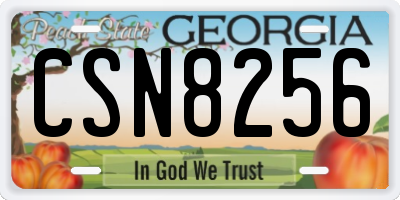 GA license plate CSN8256