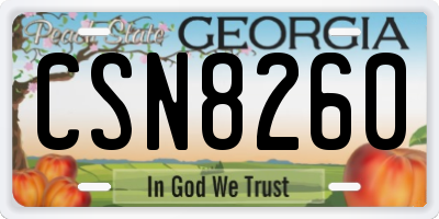 GA license plate CSN8260