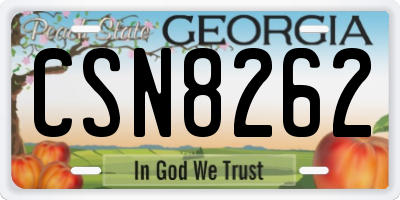 GA license plate CSN8262