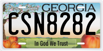 GA license plate CSN8282