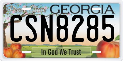 GA license plate CSN8285