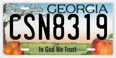 GA license plate CSN8319