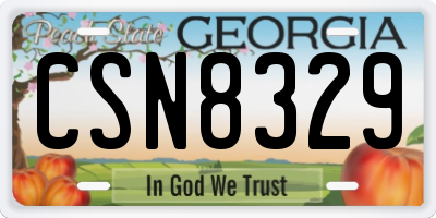 GA license plate CSN8329