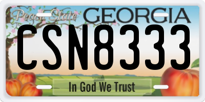 GA license plate CSN8333