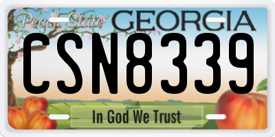 GA license plate CSN8339