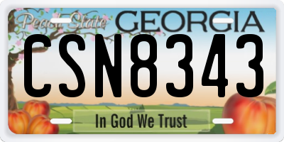 GA license plate CSN8343