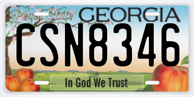 GA license plate CSN8346