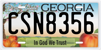 GA license plate CSN8356