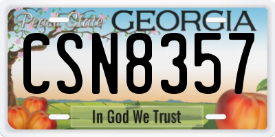 GA license plate CSN8357