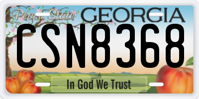 GA license plate CSN8368