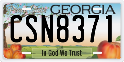 GA license plate CSN8371